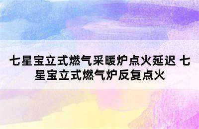 七星宝立式燃气采暖炉点火延迟 七星宝立式燃气炉反复点火